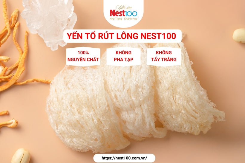 Yến tổ rút lông Nest100 loại đặc biệt 50g - nguyên chất cao cấp
