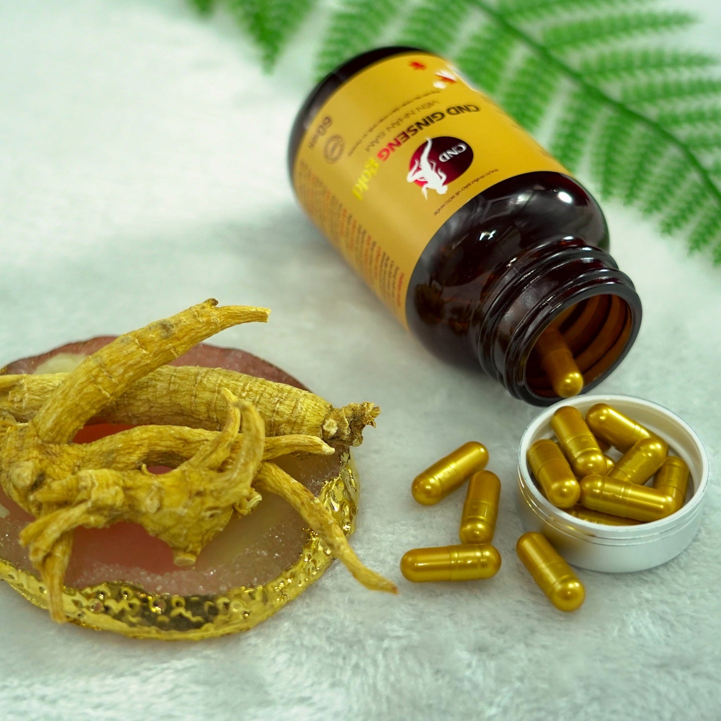 Viên Uống CND Ginseng Gold Nhân Sâm Canada – Hộp 60 Viên – SBMCND07
